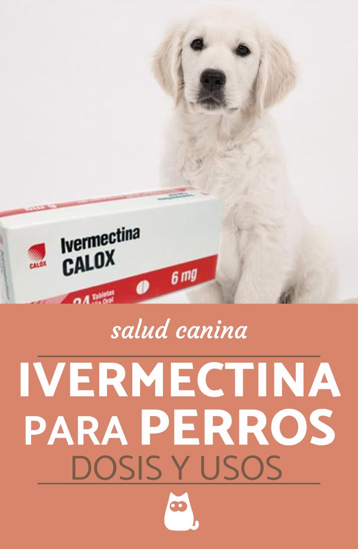 Precio de ivermectina calox