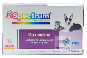 Doxiciclina gatos precio