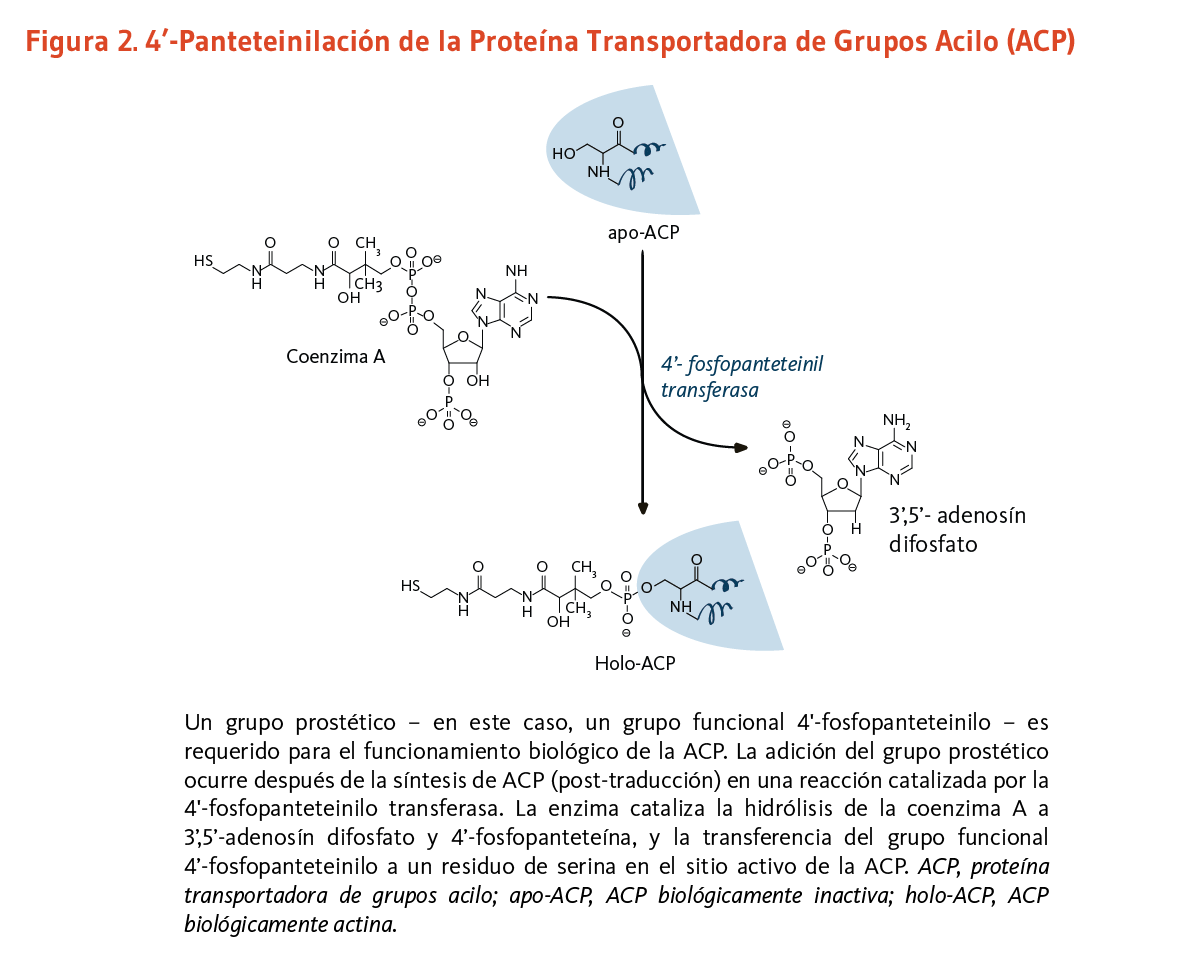 Tamoxifeno vir 20 mg precio