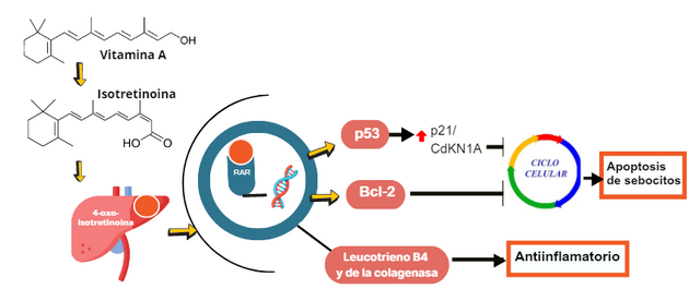 roacutan 5 mg precio