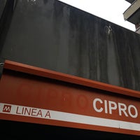 Cipro en línea