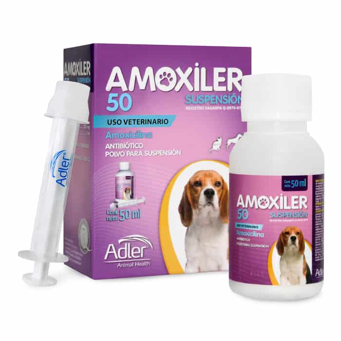 Amoxil suspension precio