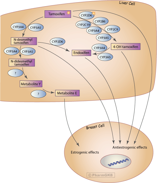 Tamoxifeno en españa