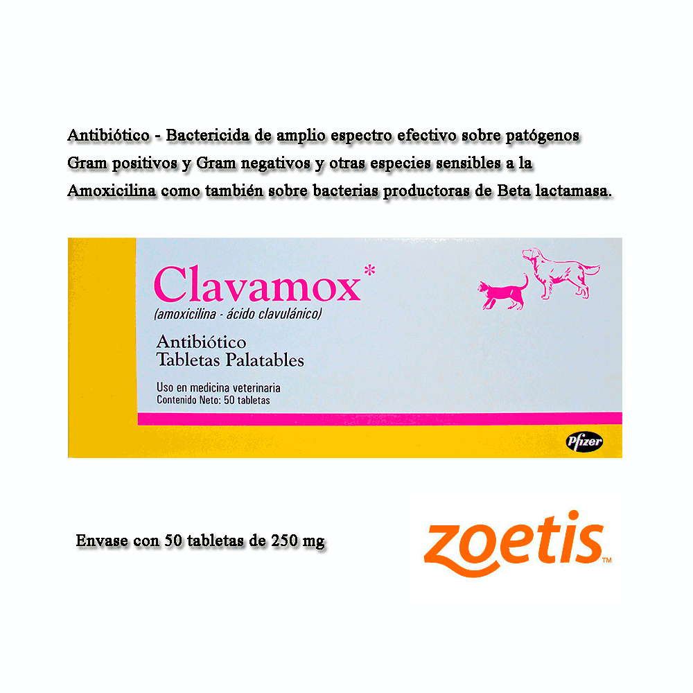 Amoxicillina como comprar