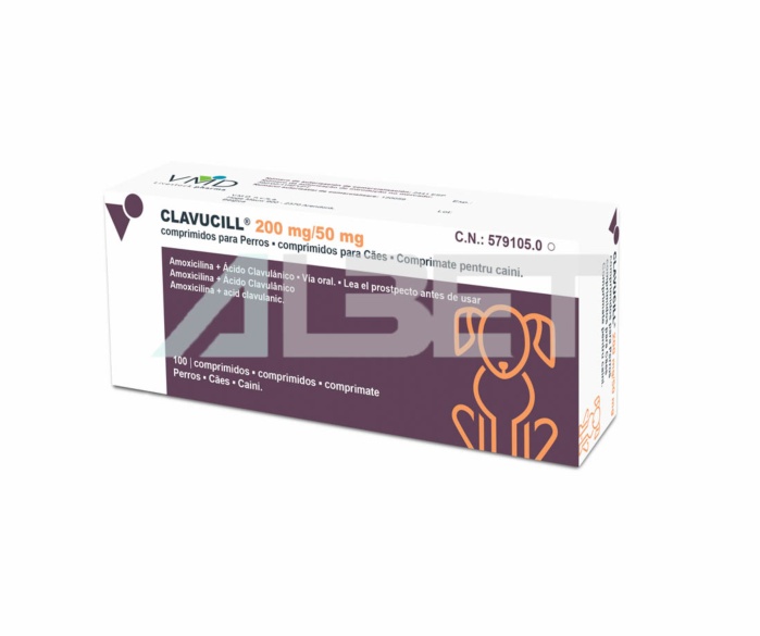 Amoxicillin como comprar