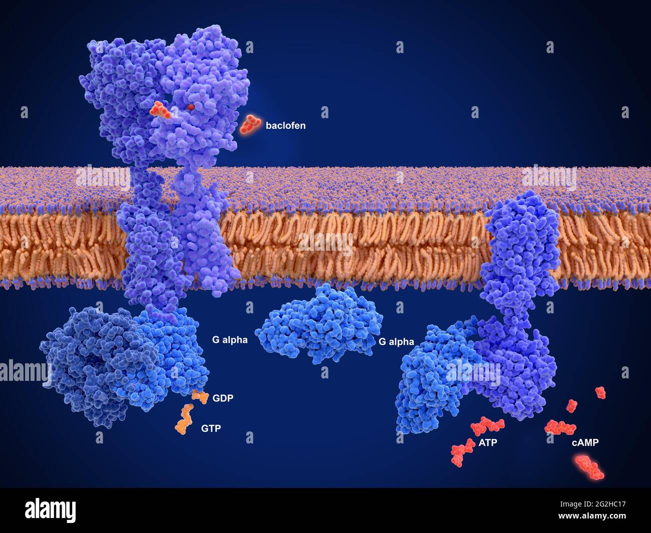 Baclofen Tableta