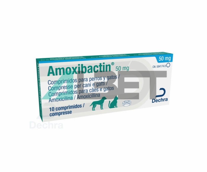 Amoxil pastillas