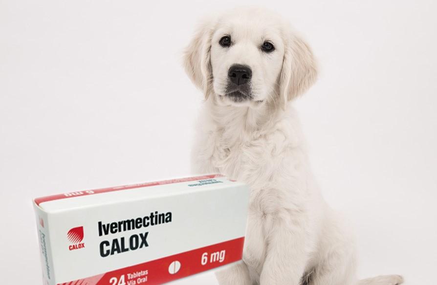 Ivermectina 6 mg calox 1 de 24 tabletas