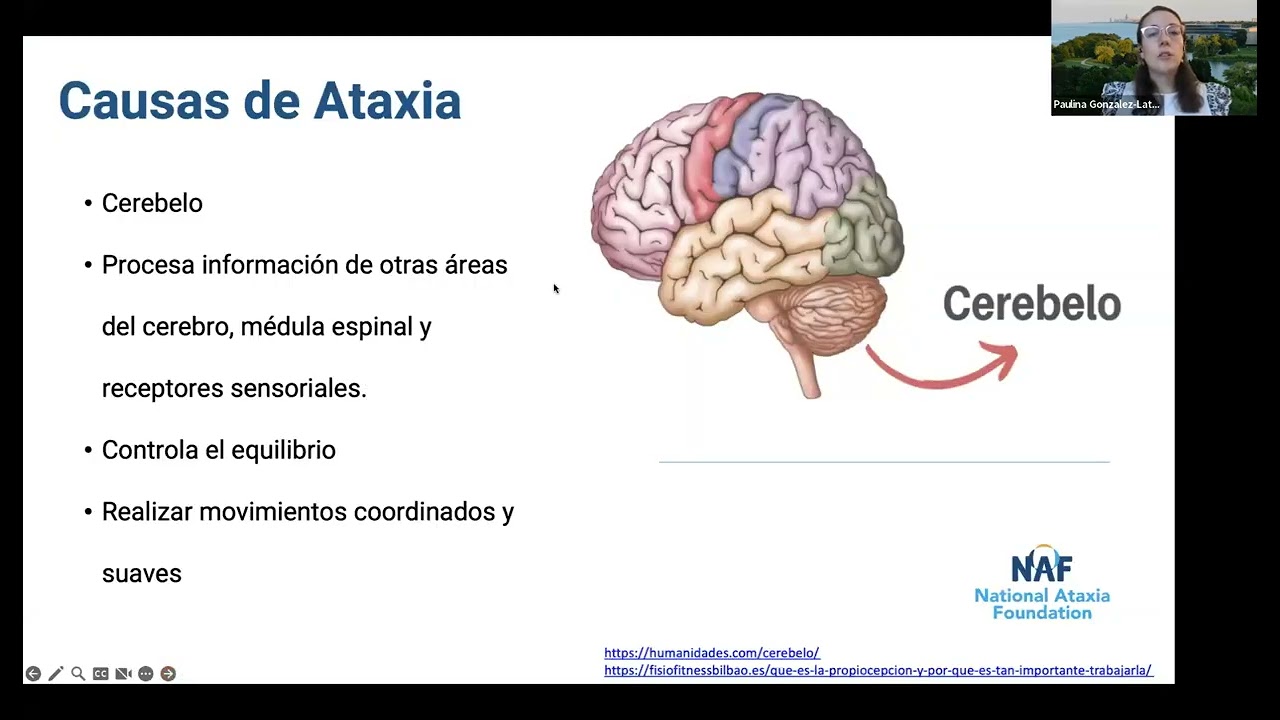 Armodafinil España