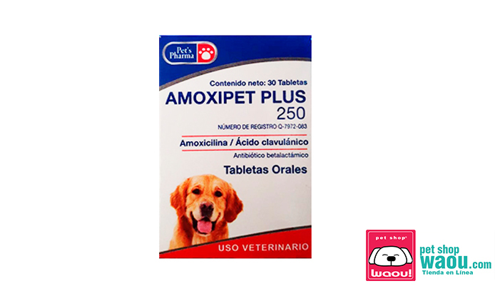 Amoxicillina 1000mg Online