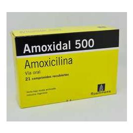 Precio de amoxil 500