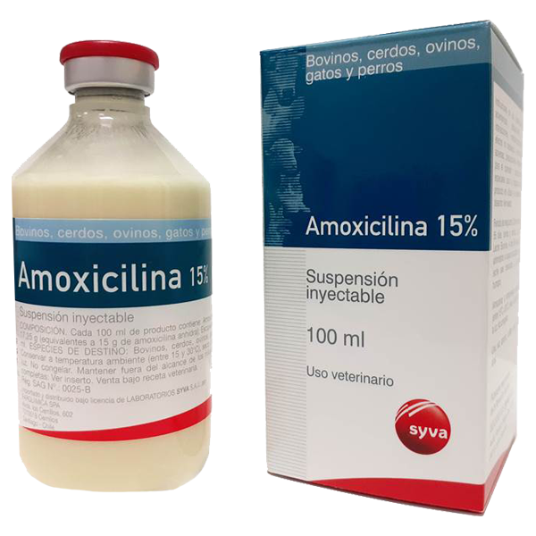 Amoxicillina Cómo Comprar