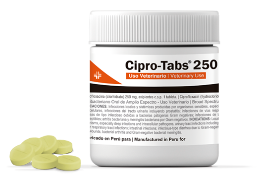 ciprofloxacin cómo comprar