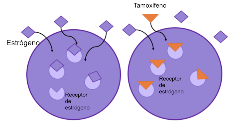 Citrato de tamoxifeno 20mg referencia