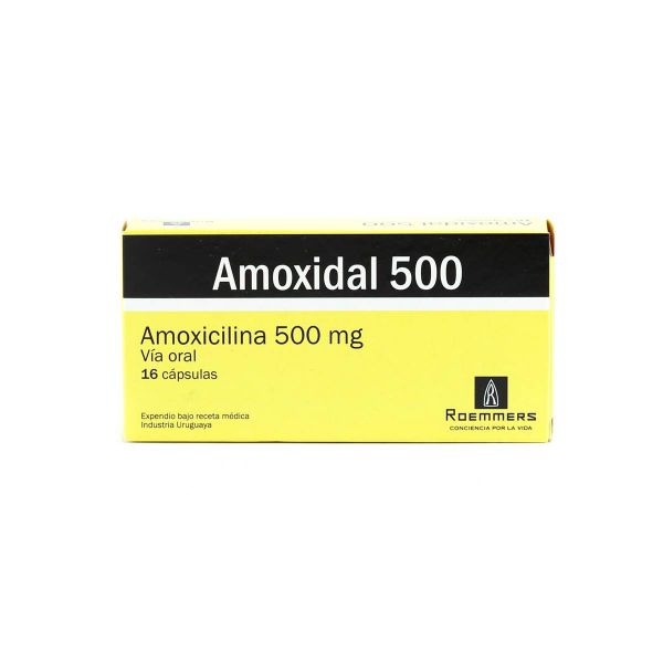 Amoxicillin precio