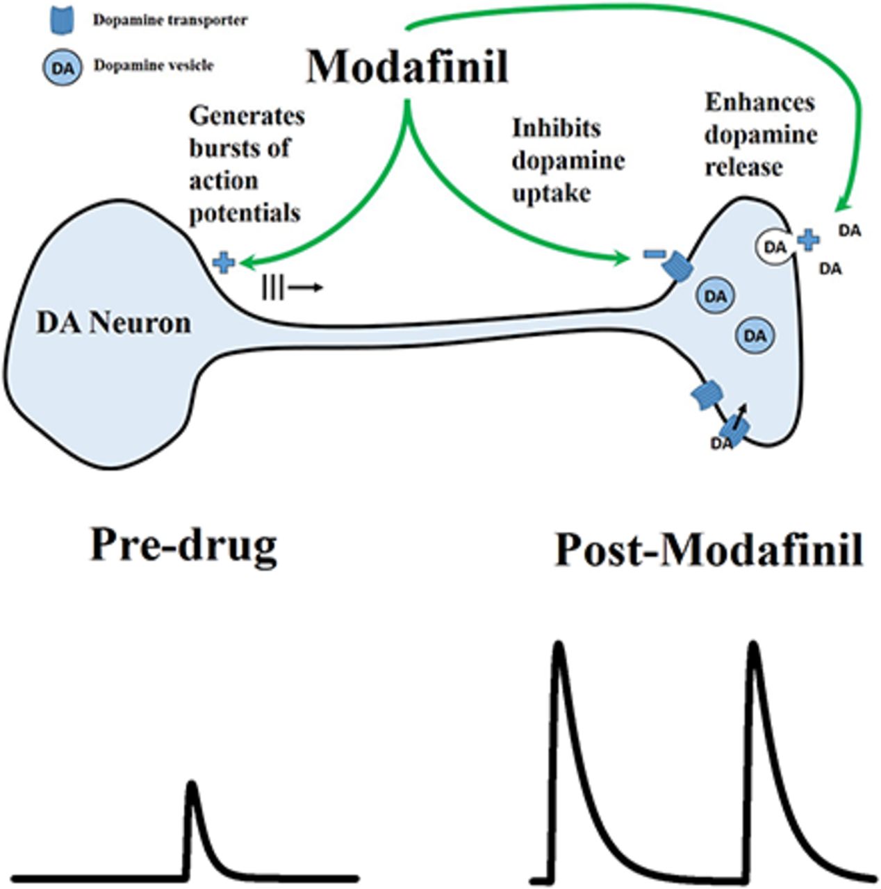 Modafinil En España