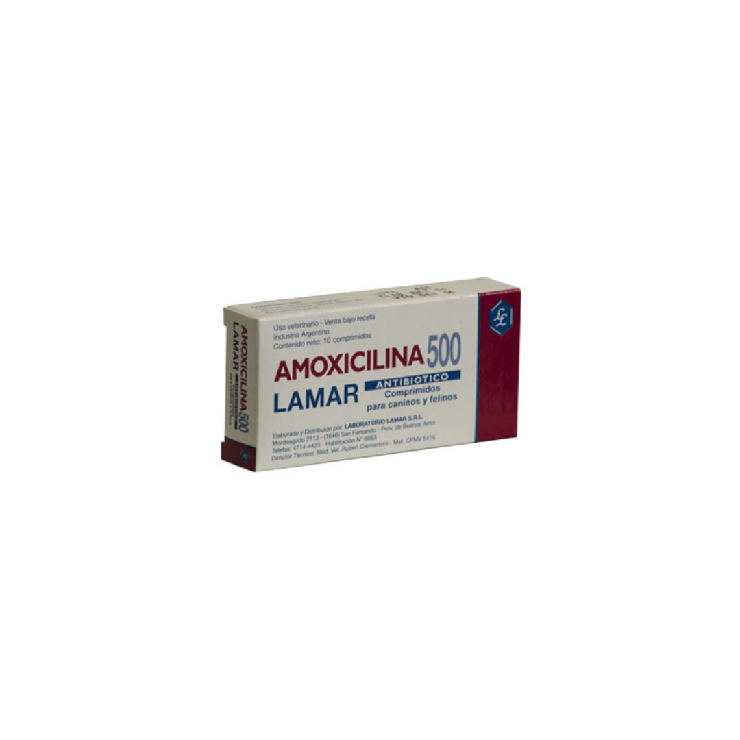 Precio amoxil 500 mg