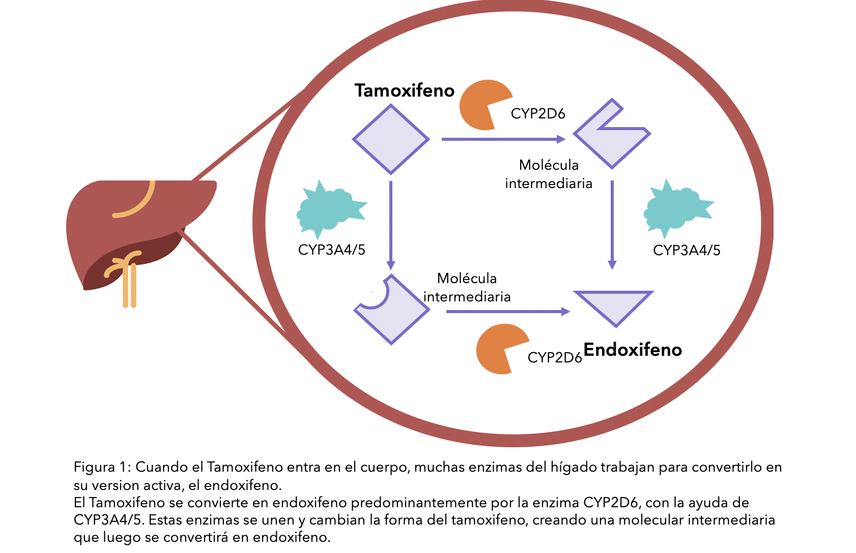 Tamoxifeno 20 precio