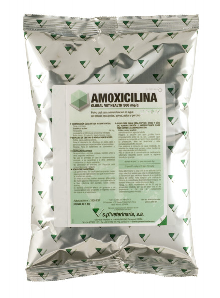 Amoxicillin Precio España