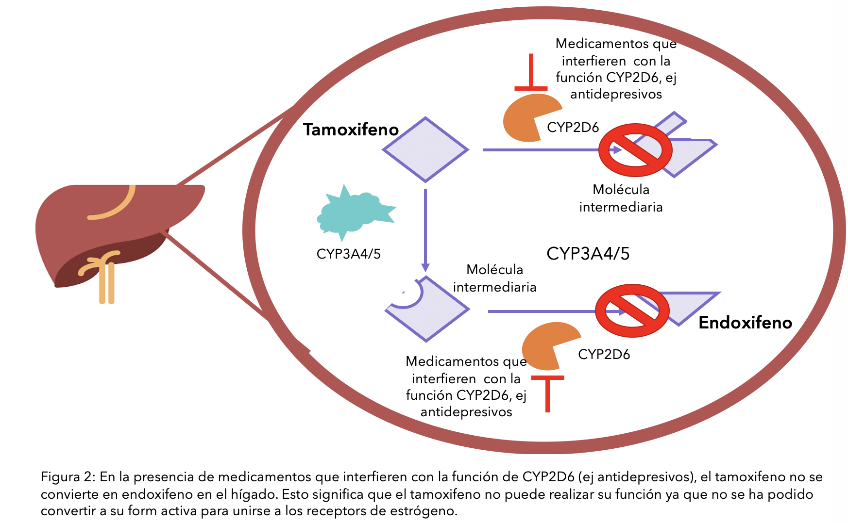 Tamoxifen 20mg online