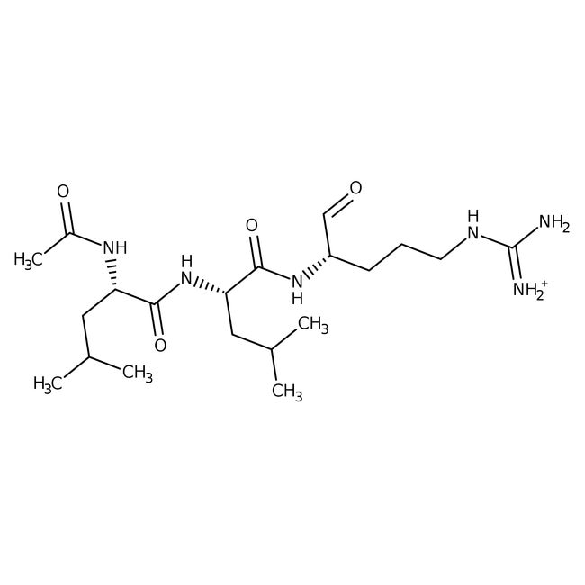 Amoxicillin compra