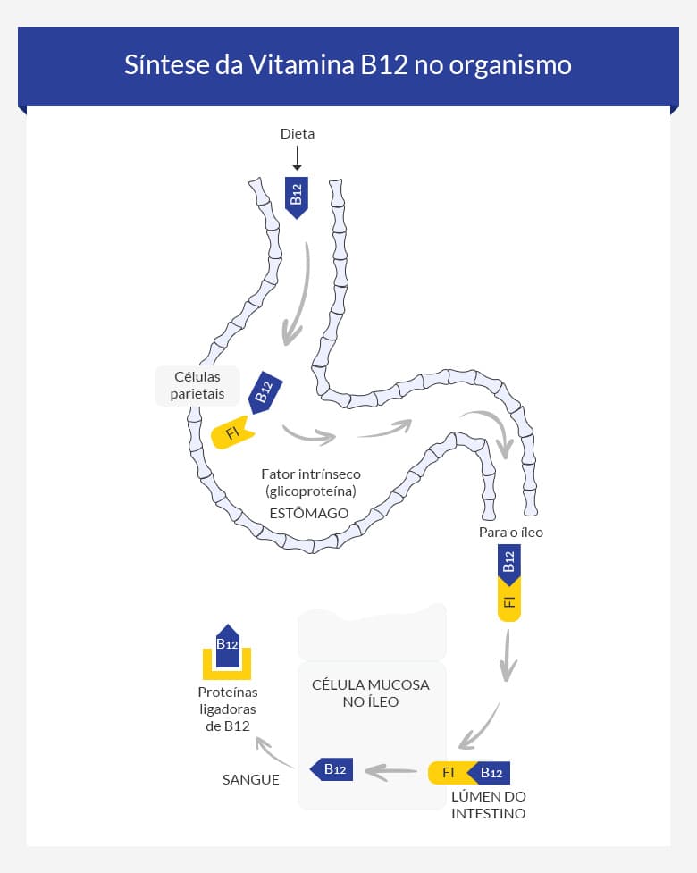 Comprar tamoxifeno precisa de receita