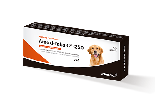 Comprar Amoxicillina En Línea