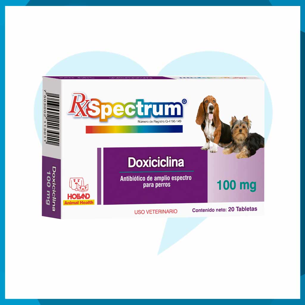 Doxiciclina 100mg