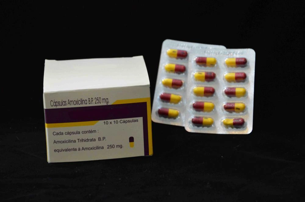 Amoxicillin 500 mg capsulas