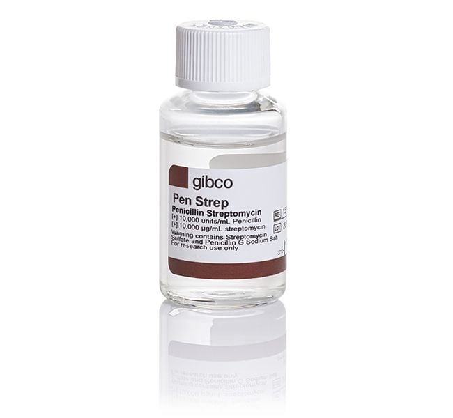 Amoxicillin pbs online