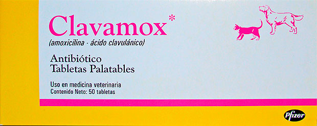 Amoxicillina 250mg