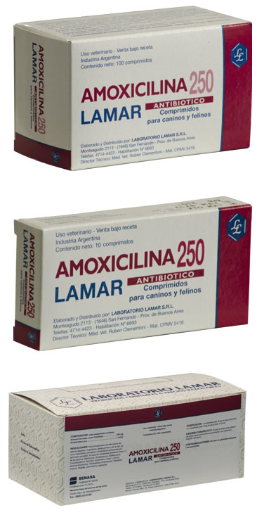 Amoxicillina pastillas