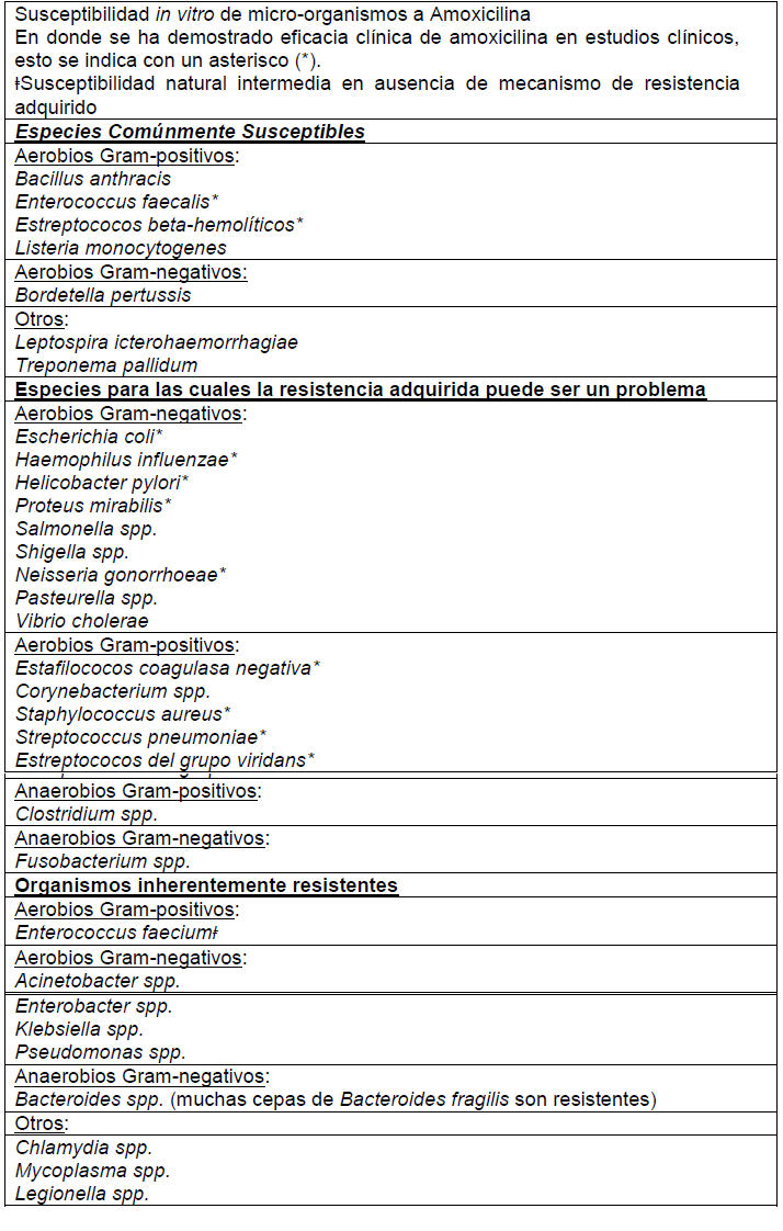 Amoxil 12h 400 mg precio