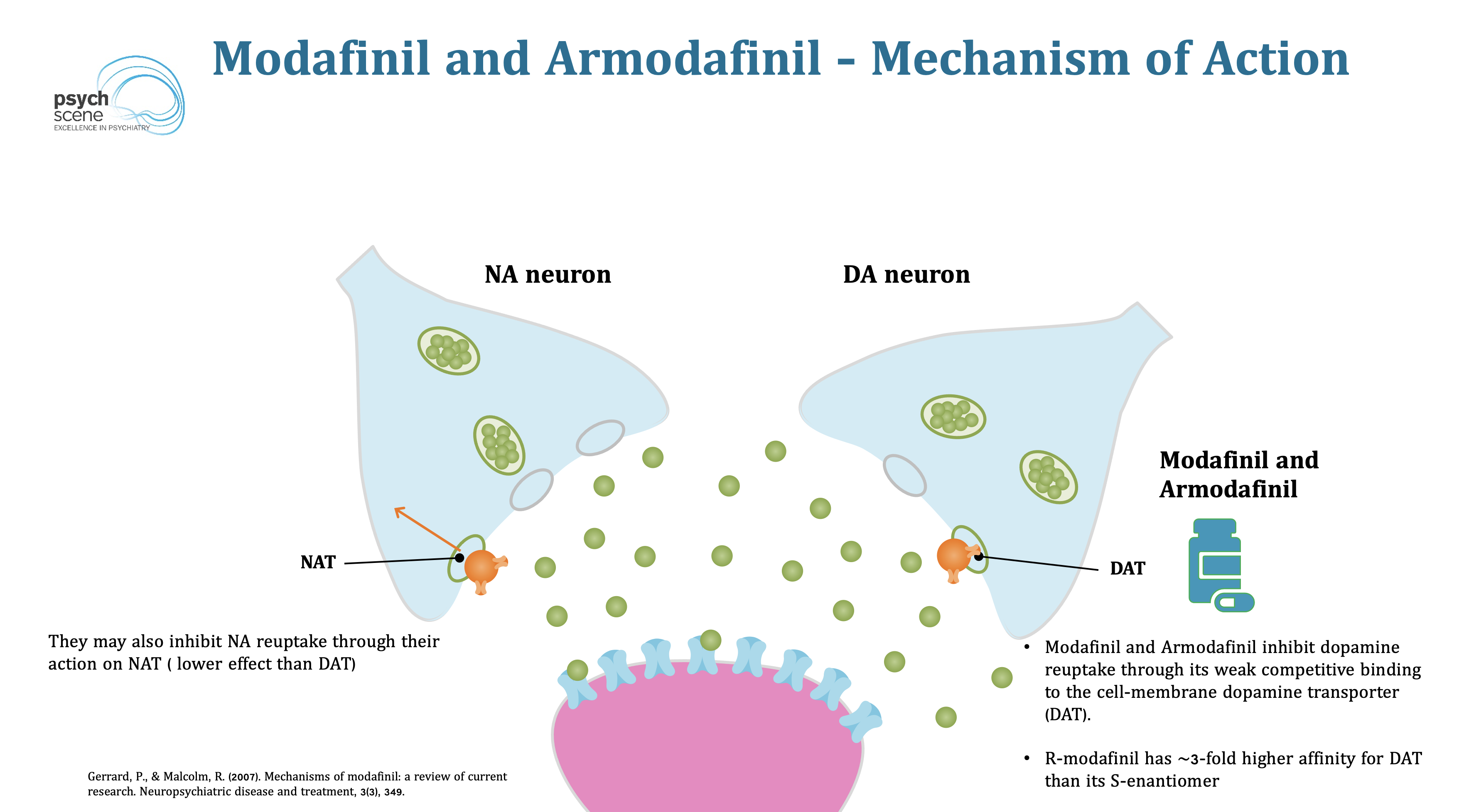 armodafinil on-line