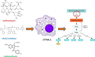 azithromycin on-line