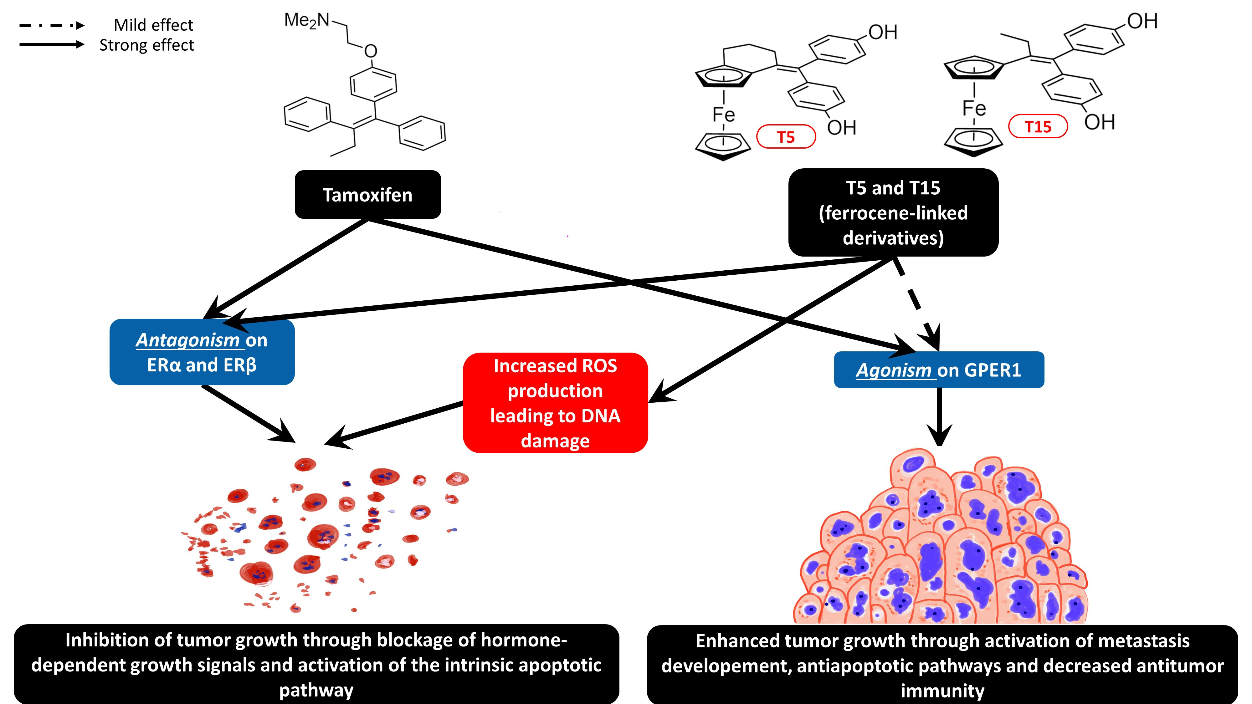 Tamoxifeno on-line