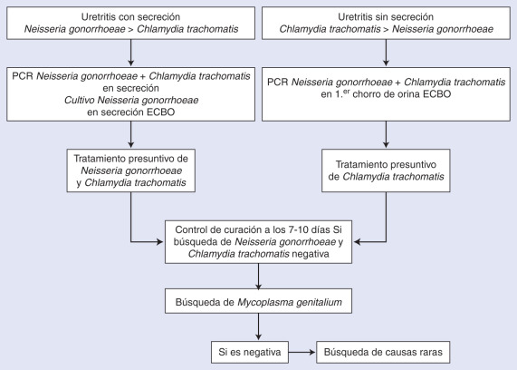 Ciprofloxacin 250mg emc