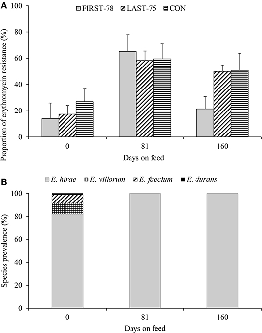 Orden Doxycycline