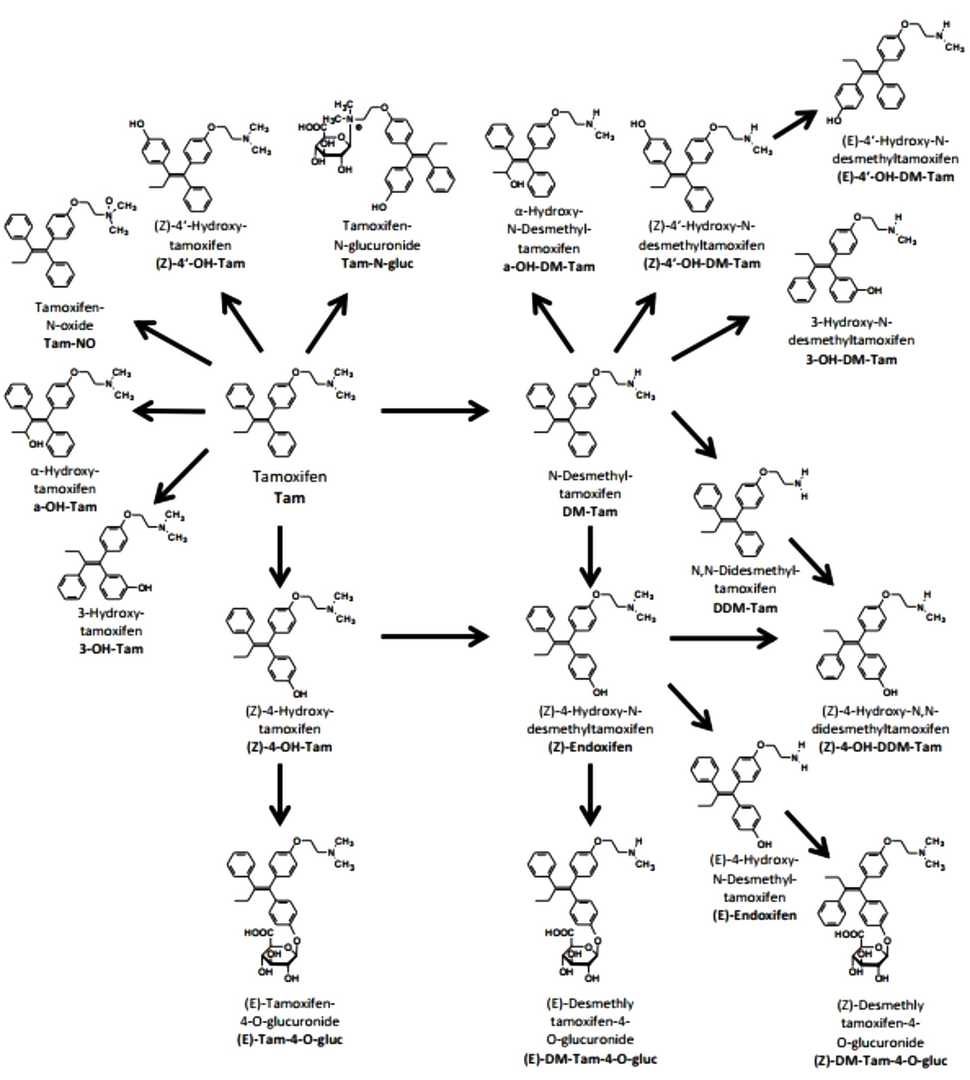 Cómo comprar tamoxifen