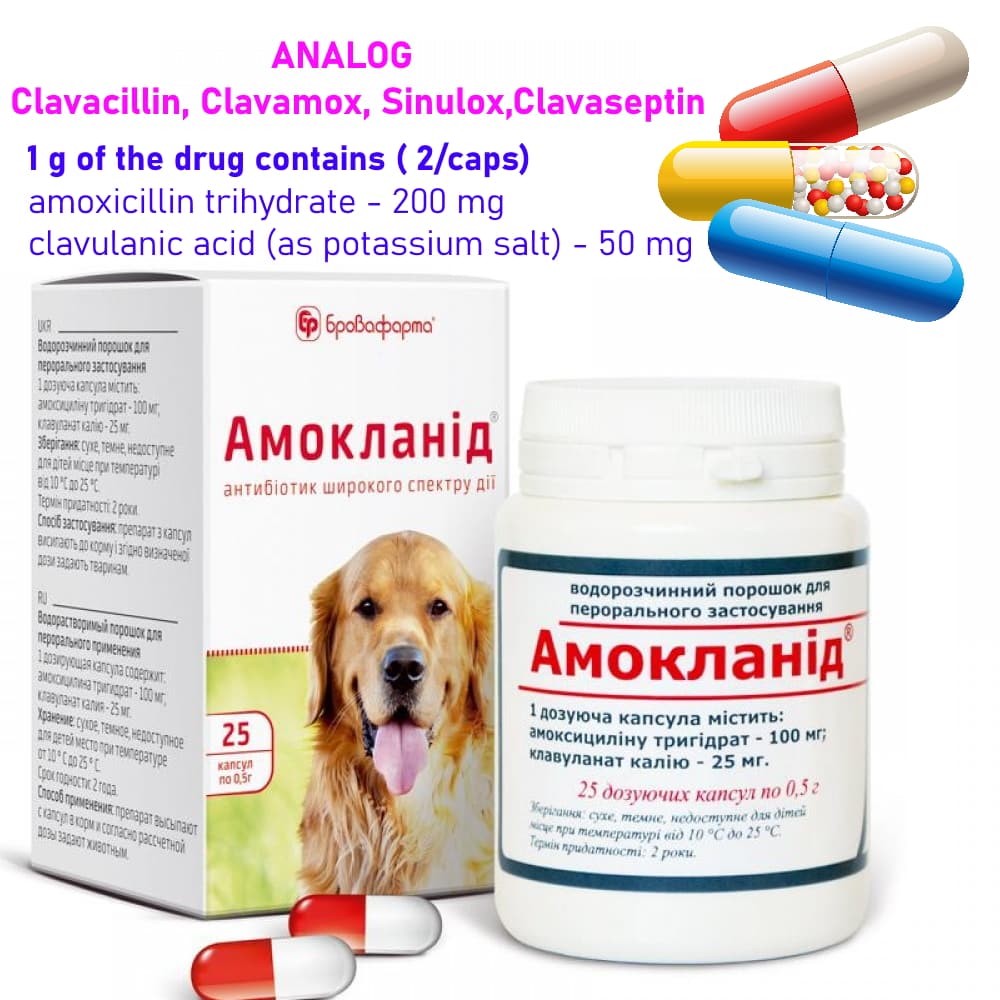 Comprar amoxicillina