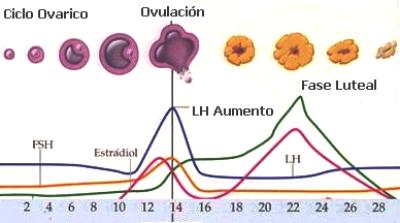 Comprar Clomifeno 50mg