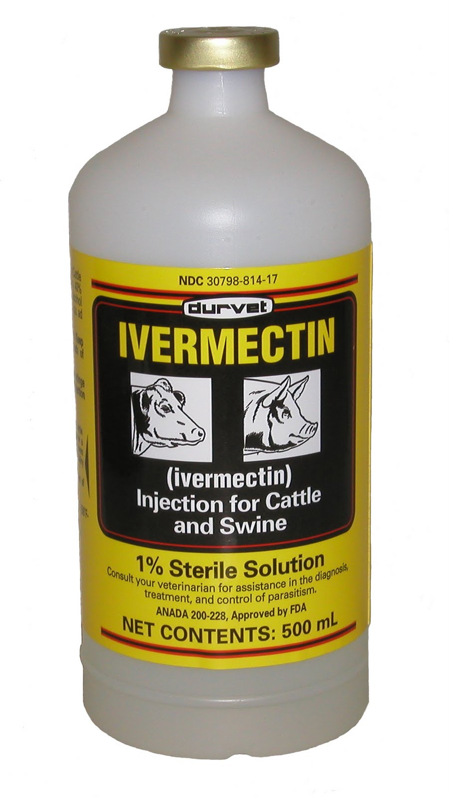 Ivermectina quanox precio