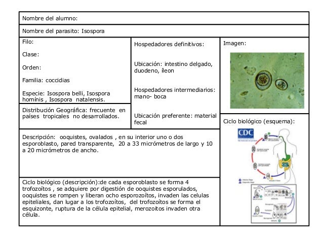 Diflucan orden