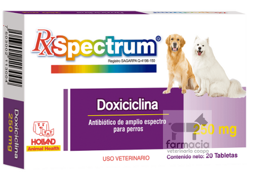 Doxiciclina perros comprar