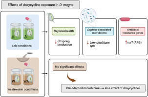 Doxycycline barato