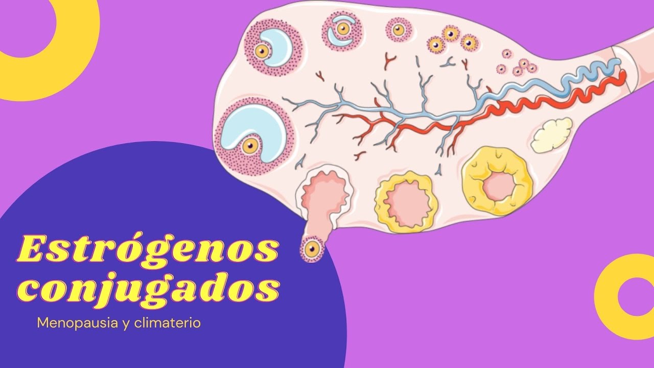 Estrógenos conjugados genericos precio