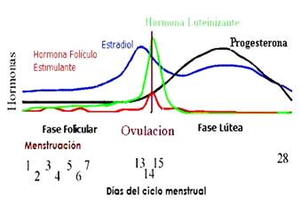 estrógenos conjugados más barato