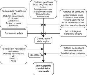 Fluconazol unidosis precio