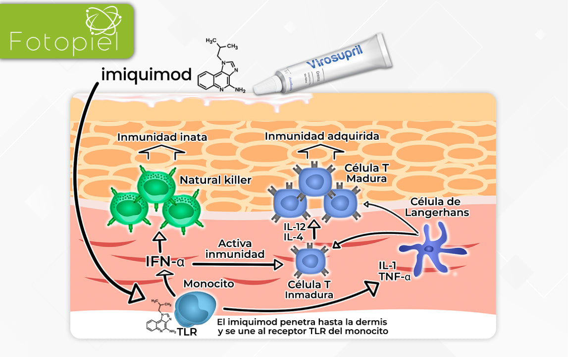 Imiquimod 5 precio