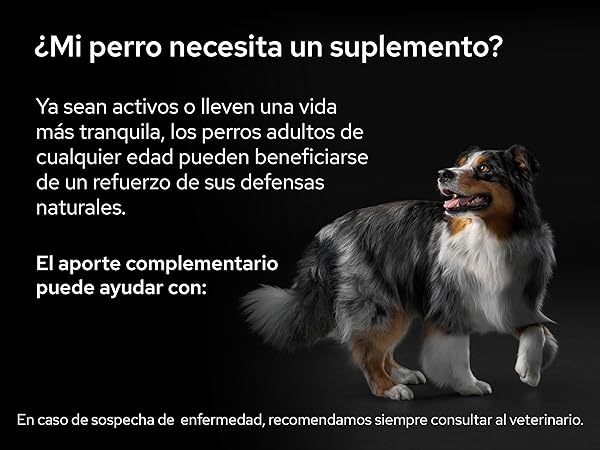 Ivermectina perros comprar